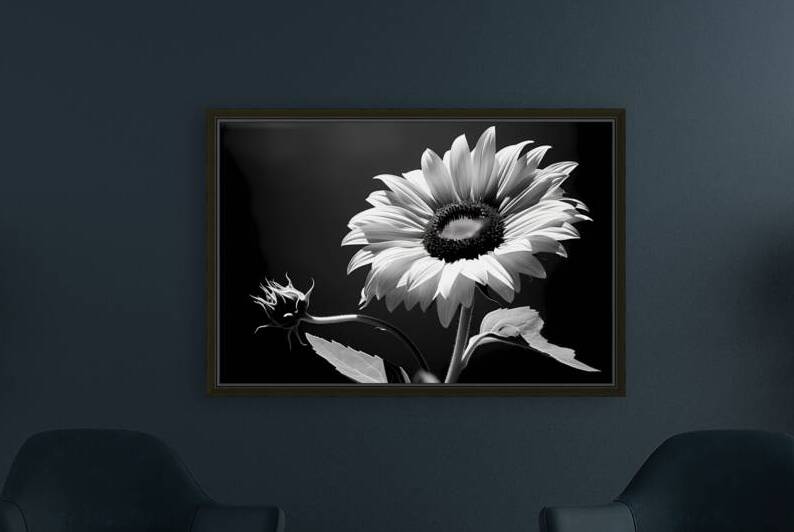Iconic Sunflower – Golden Bloom Fine Art Print by Savage Art Prints