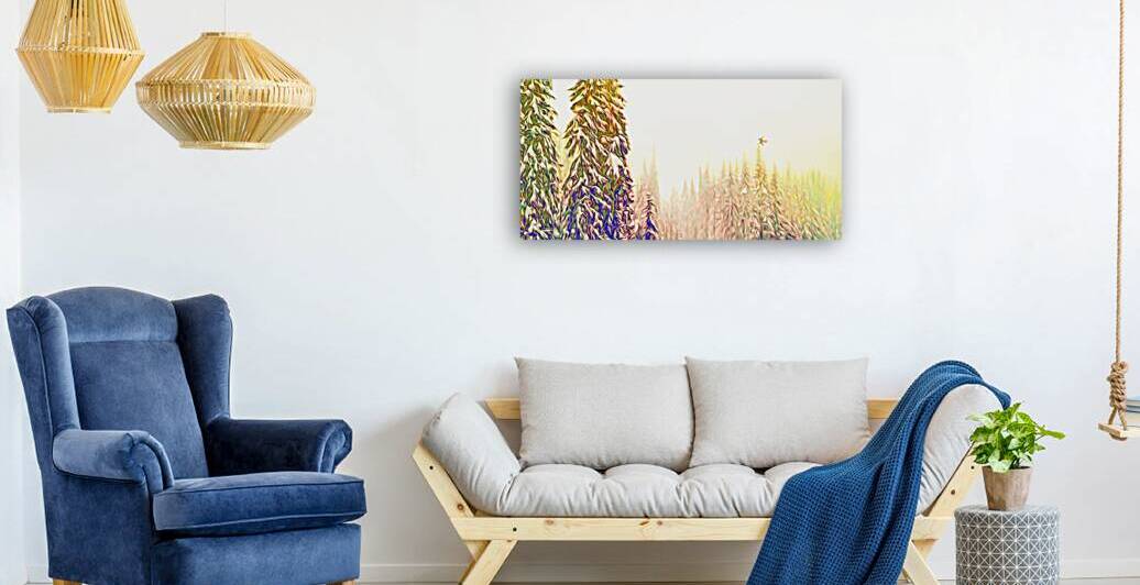 tricksters glow Panoramic Orientation by shawn morris creative