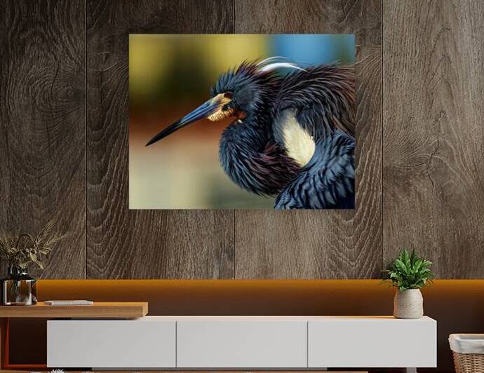 Poised by EarthsMoments by Marc Harris photographer