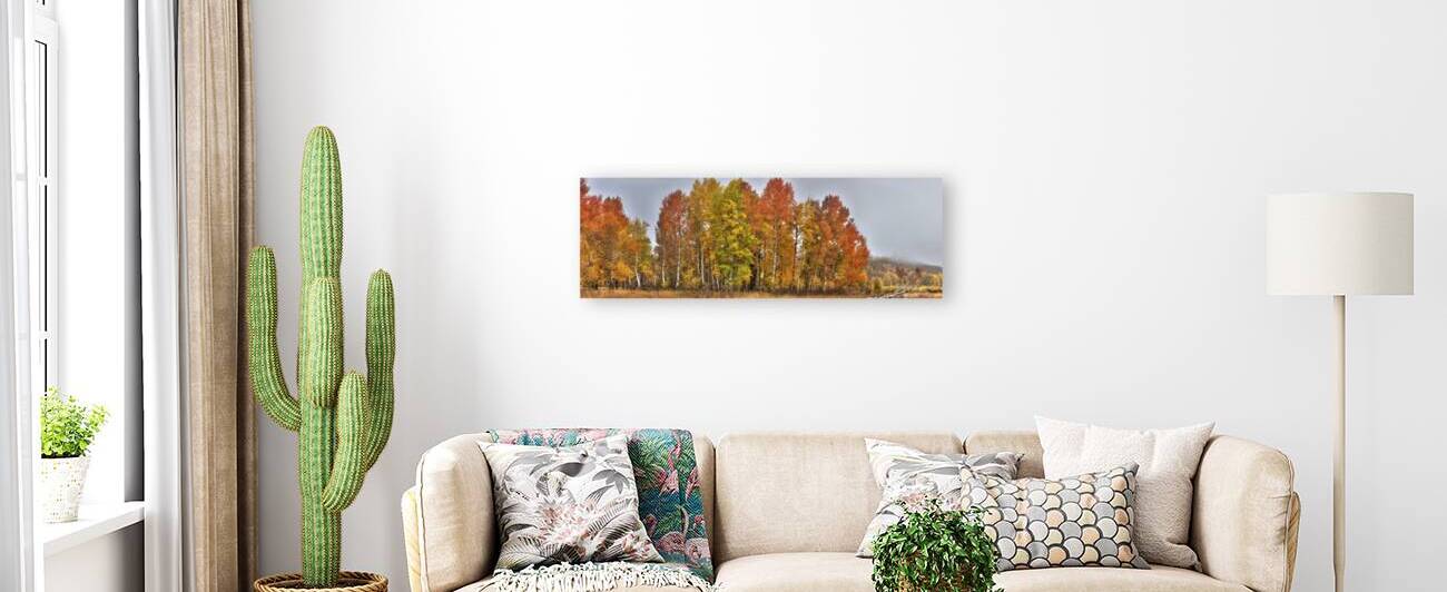 Aspens in the Mist  by Gary M Slane