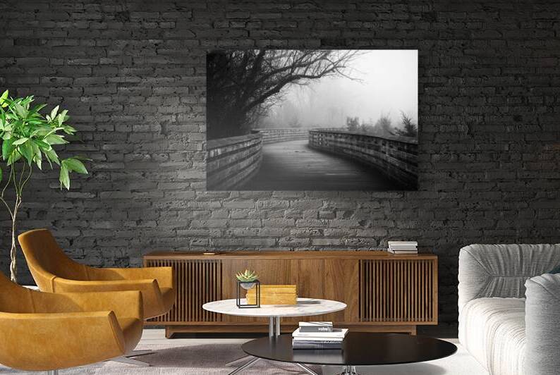 Foggy Jordan Creek Greenway Black and White by Jason Fink