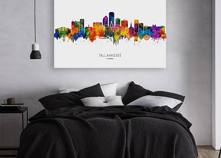 Tallahassee USA Skyline by Towseef Dar