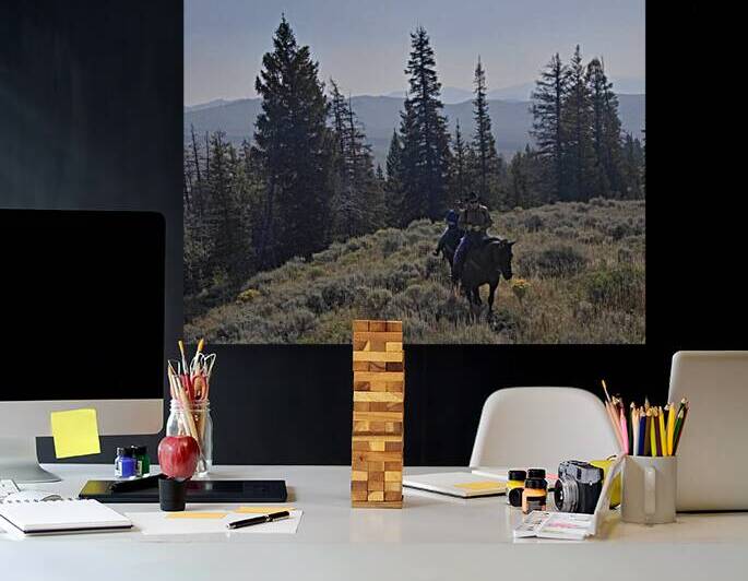 Out for a walk by Eli Arroyo