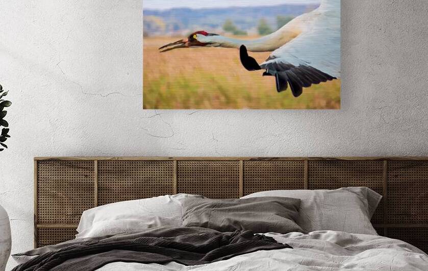 Whooping Crane by Joe Riederer