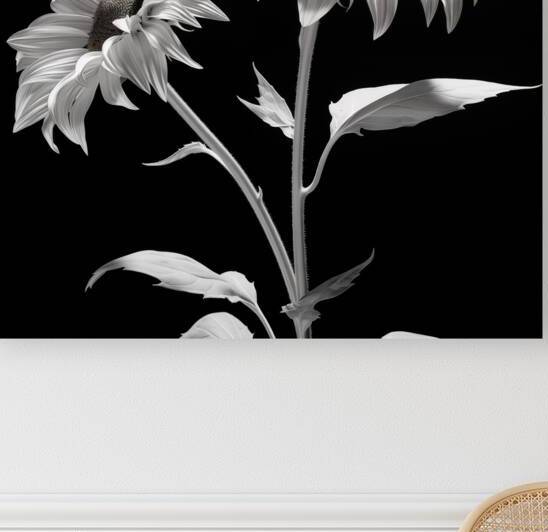 Ineffable – Black & White Twin Sunflower Art Print by Savage Art Prints