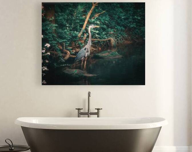 Great Blue Heron Emerald Reflections by Jason Fink