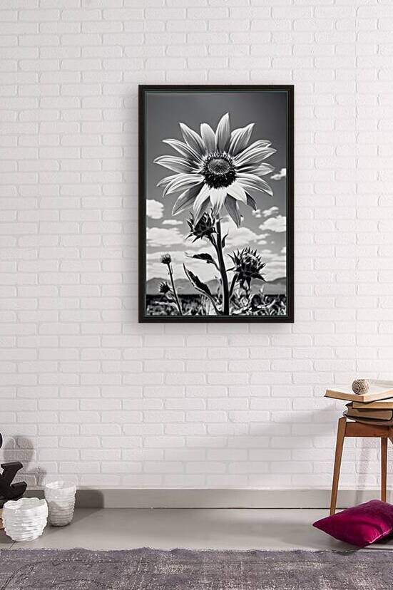 Vitamin D - Black & White Sunflower Art Print by Savage Art Prints