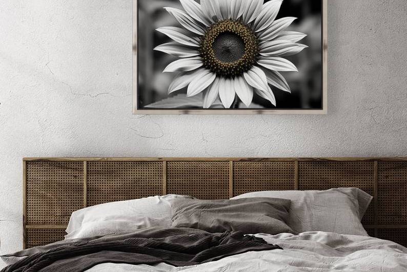 Flawless – Black & White Sunflower Art Print by Savage Art Prints