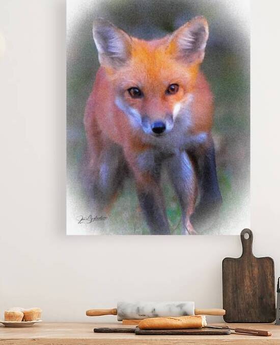 Low Res Red Fox 7 by jamiesart