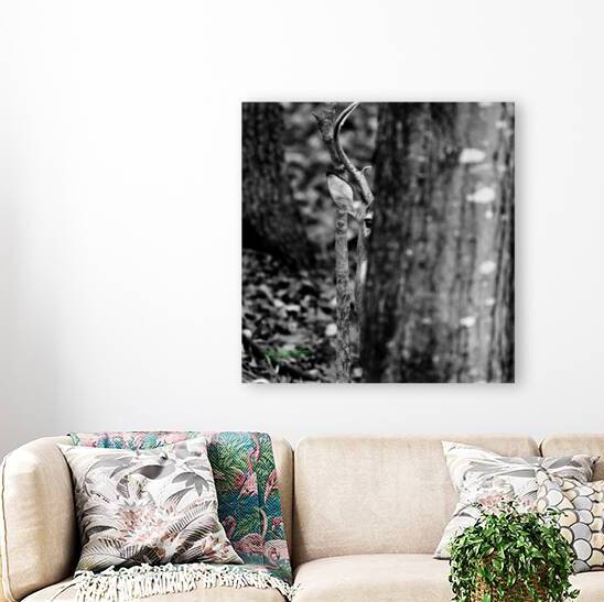 Hiding Deer 1 by jamiesart