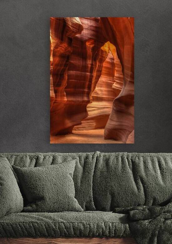 Bears and Honey by Gary M Slane