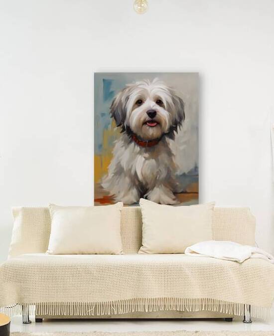 Cute Havanese Dog 5 by Mankdhani