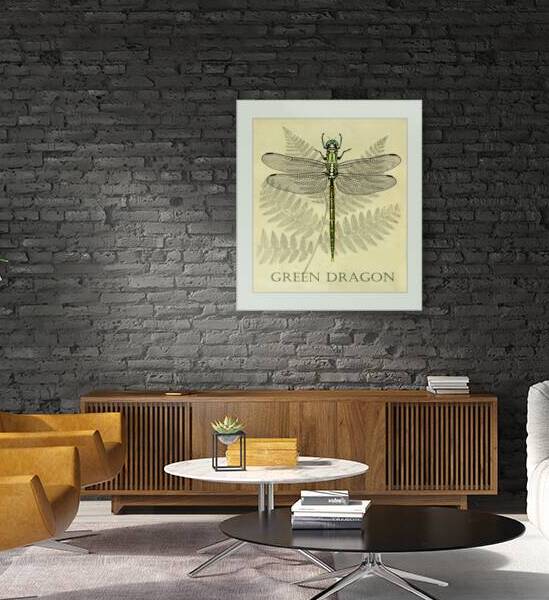 Green Dragonfly  by David Edwards