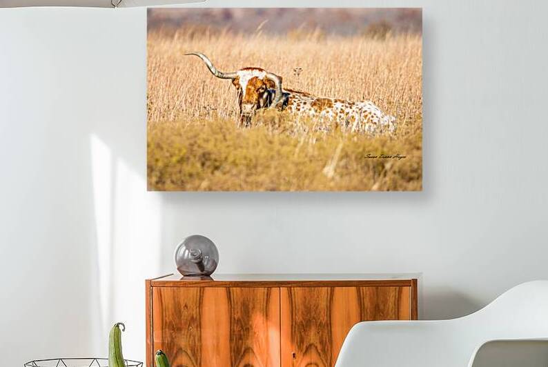 Wrong Way To Rest by Susan Diann Photography