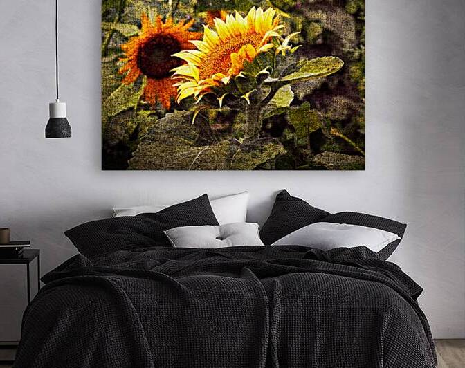 Sunflower Portrait in Simulated Canvas by Bill Swartwout Photography
