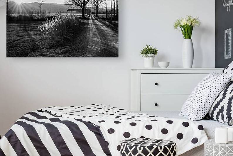 Symphony of Light in Black and White - CR2101-4373-BW by JordiCarrio