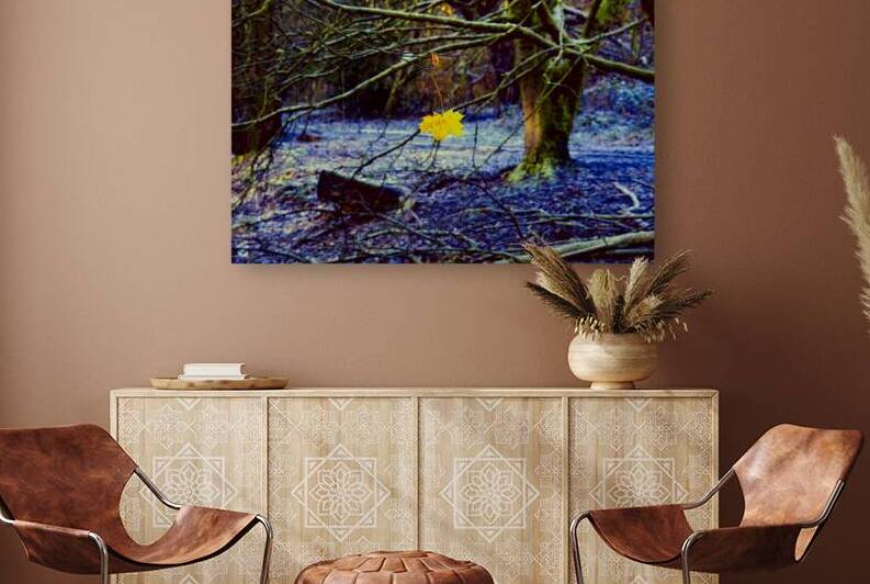 Single autumn leaf by Tony J Hulme