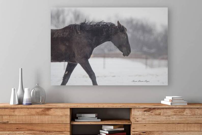 If We Make It Through December by Susan Diann Photography