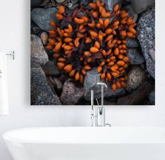 Explosion by Ken Fallu