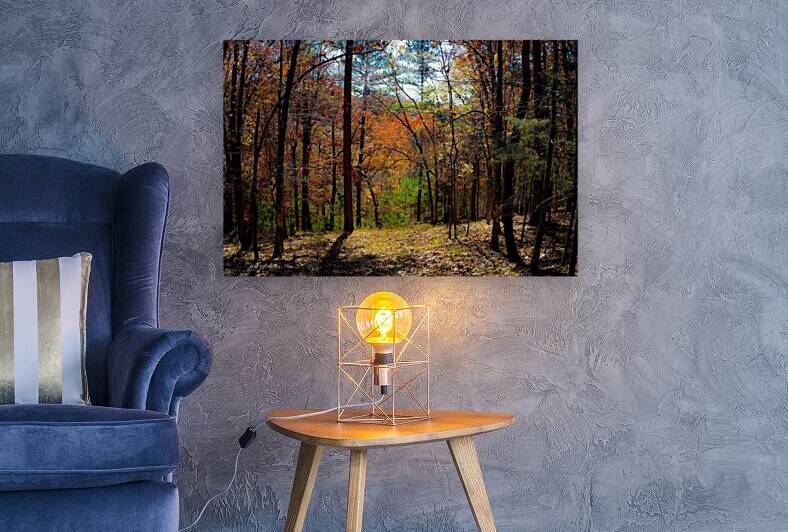 DSCF0597 3 Ozarks Fall 1 by jamiesart