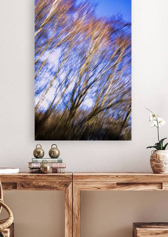 Abstract tree by Tony J Hulme