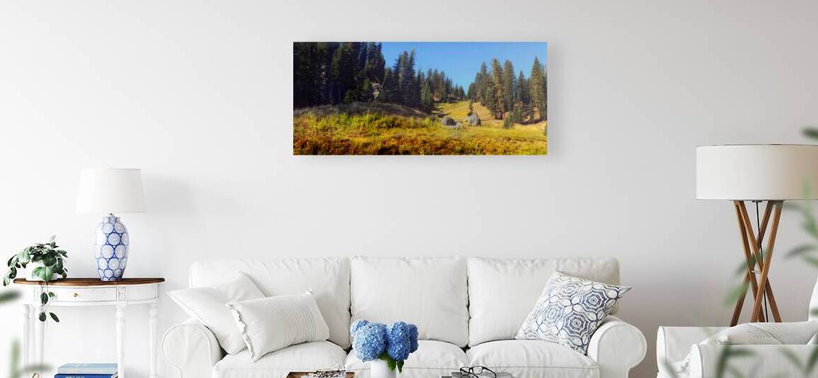 Mount Lassen Volcanic National Park Panorama by Frank Wilson