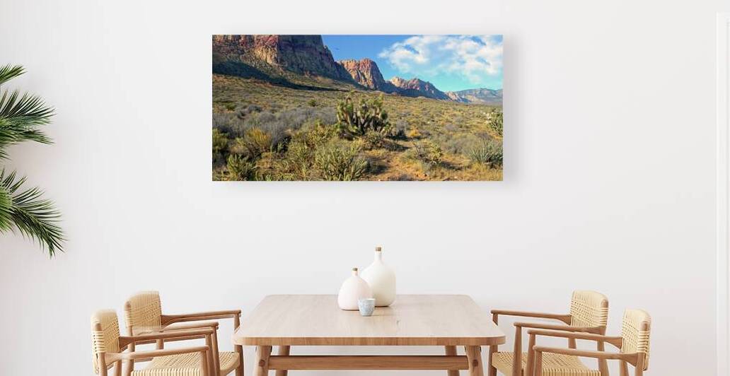 Desert Beauty Panorama by Frank Wilson