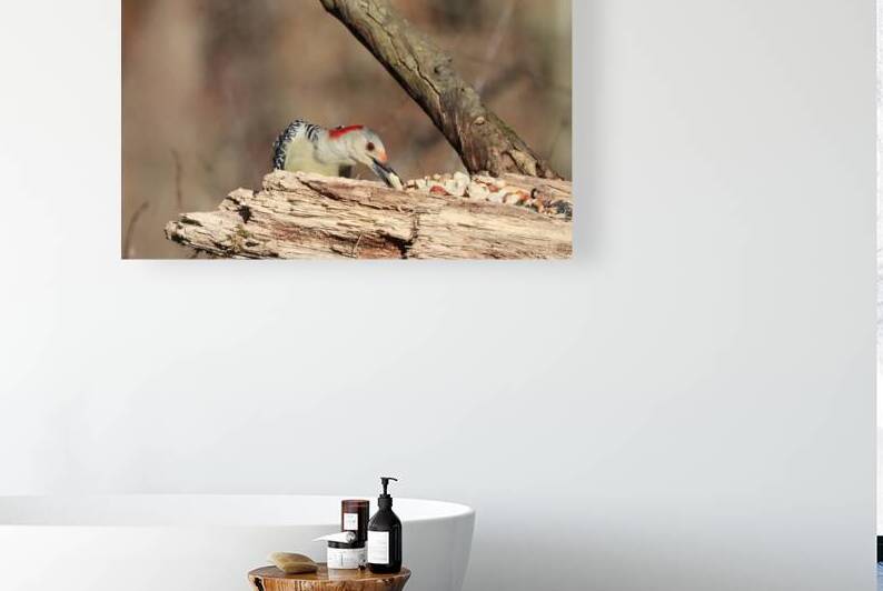 I Choose This One by Deb Oppermann