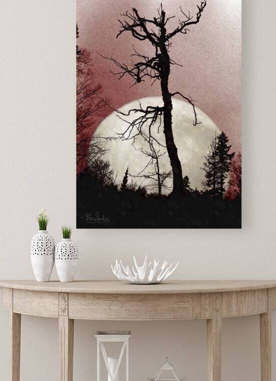 Tree and Full Moon  by Bev Snider