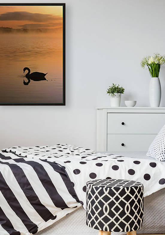 Lough Leane, Lakes Of Killarney, Co Kerry, Ireland; Silhouetted Swan by PacificStock