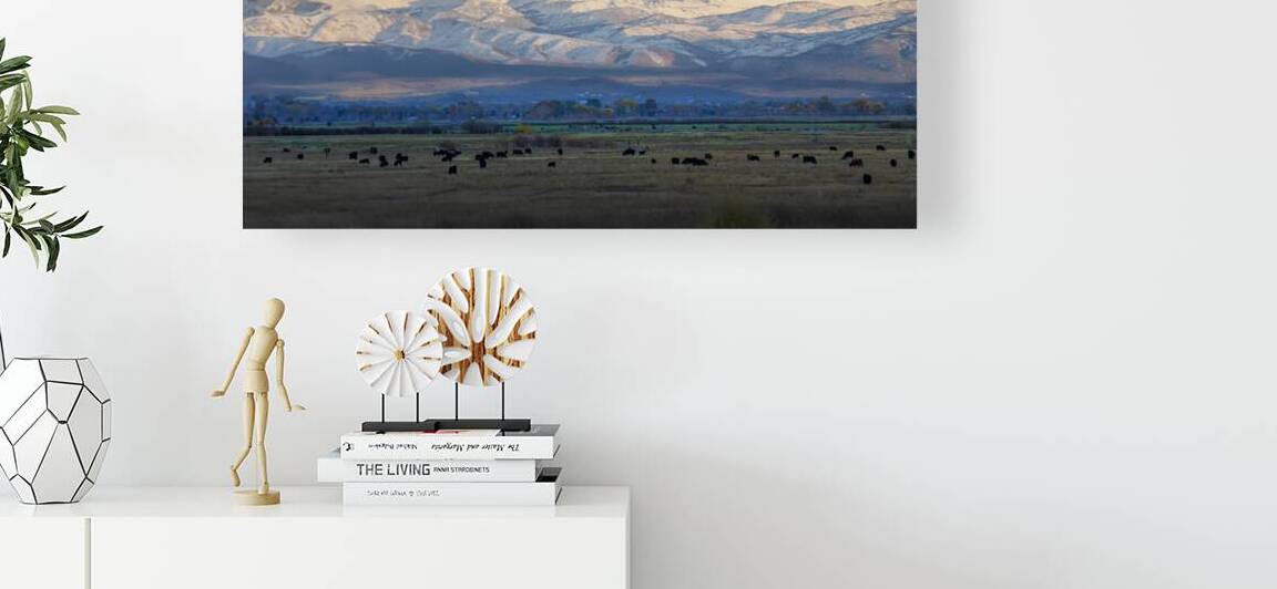 Cattle Grazing in the Eastern Sierra Nevada Panorama by Frank Wilson