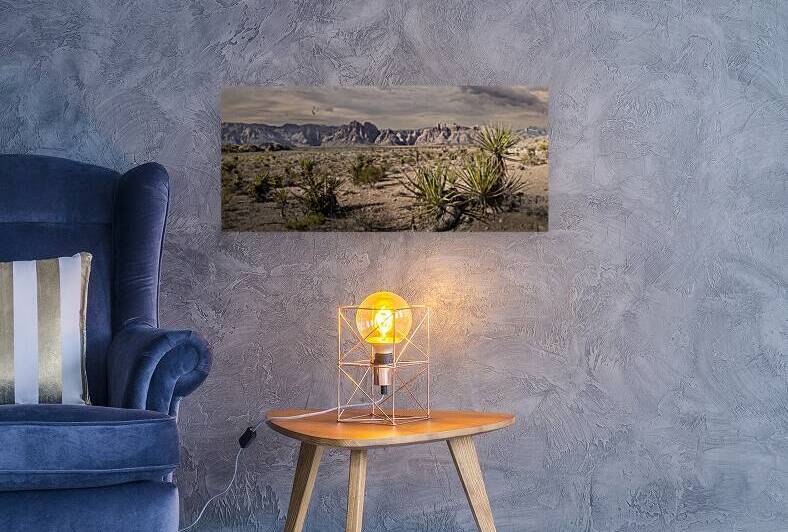 Arid Desert Panorama by Frank Wilson