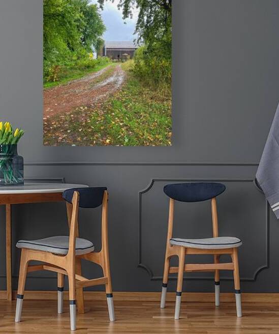 Path to the Old Barn by Bill Swartwout Photography