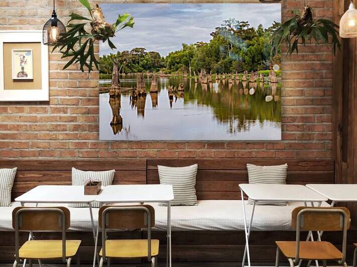 Stumps of bald cypress trees rise out of water in Atchafalaya ba by Steve Heap