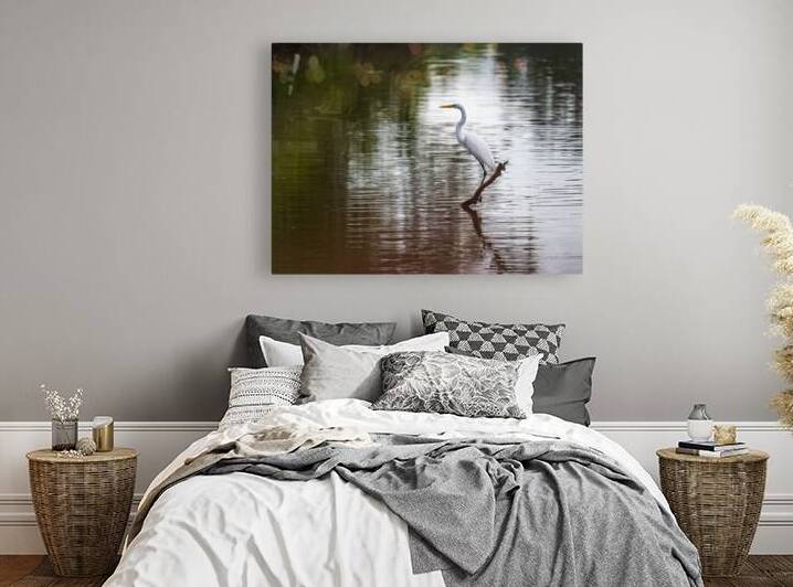 Great Egret on the stumps of bald cypress trees in Atchafalaya b by Steve Heap