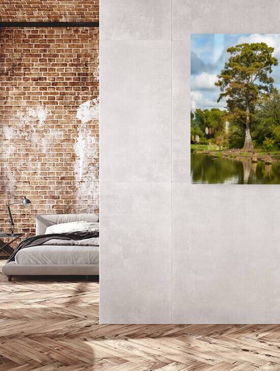 Large bald cypress trees rise out of water in Atchafalaya basin by Steve Heap