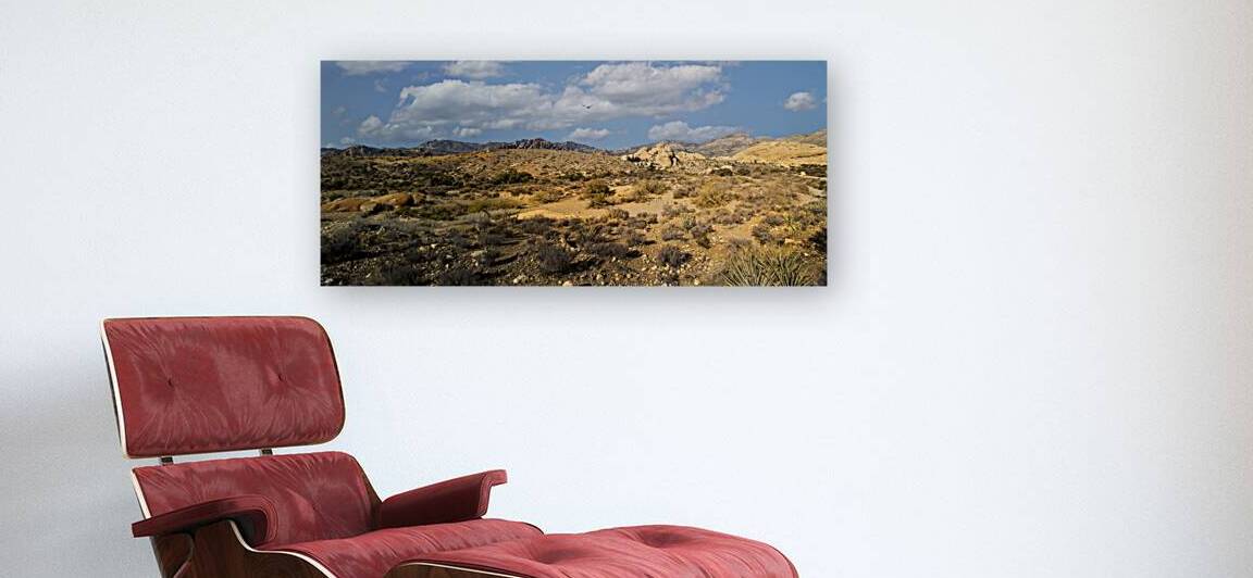 Hiking Trail In The Desert Panorama by Frank Wilson