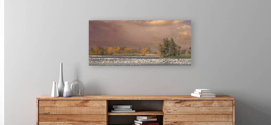 Autumn Marsh Panorama by Frank Wilson
