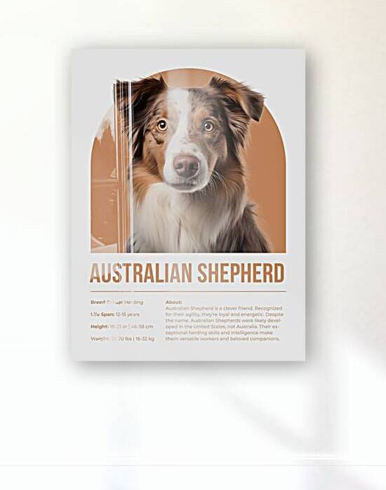 Australian Shepherd Informative Poster by Windawn