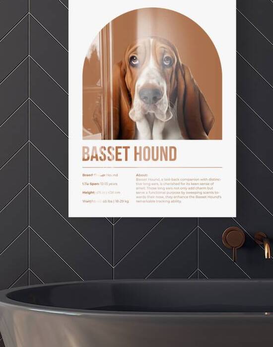 Basset Hound Informative Poster by Windawn