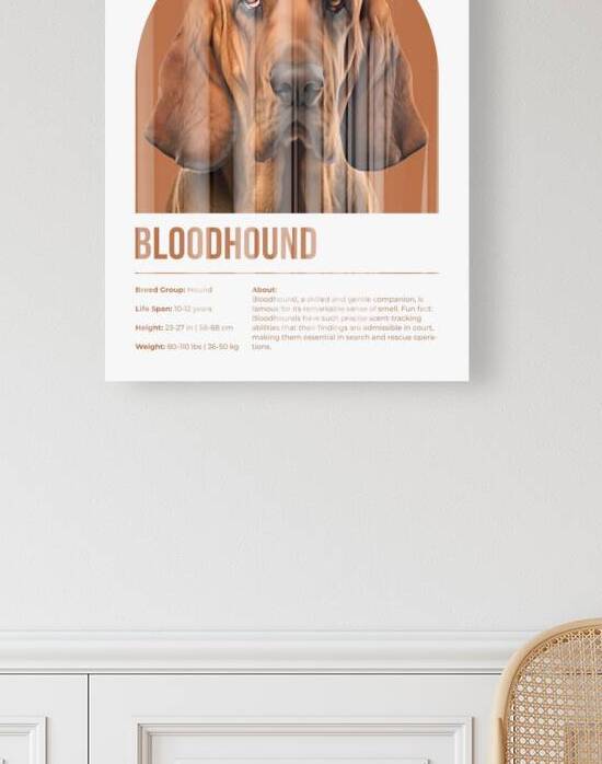Bloodhound Informative Poster by Windawn