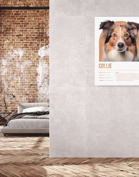 Collie Informative Poster by Windawn