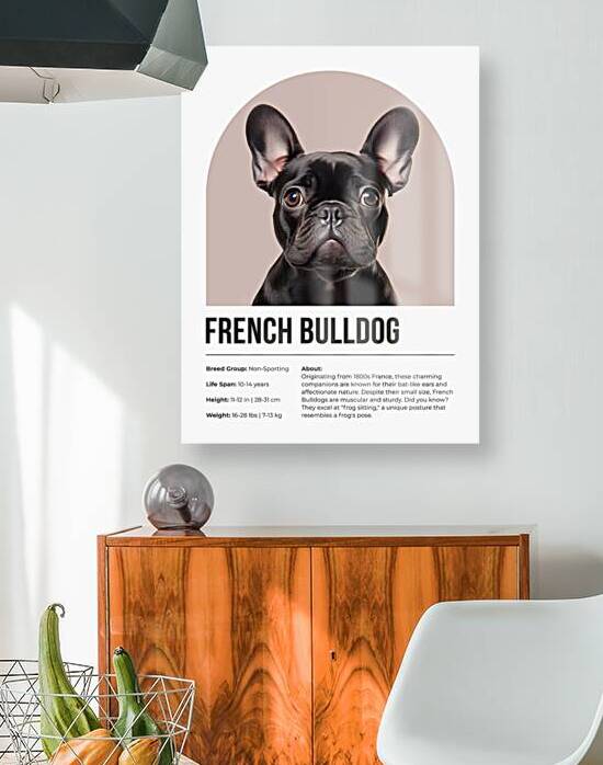 French Bulldog Informative Poster by Windawn