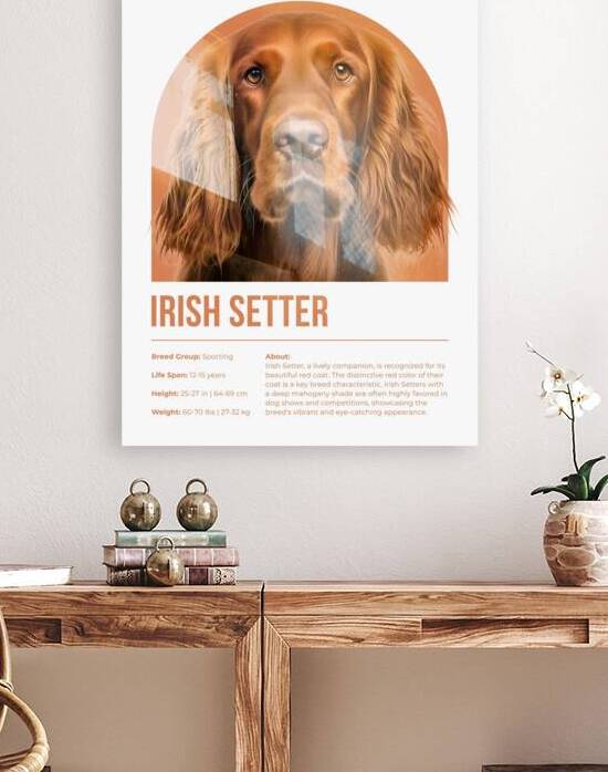 Irish Setter Informative Poster by Windawn
