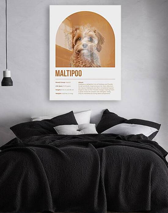 Maltipoo Informative Poster by Windawn