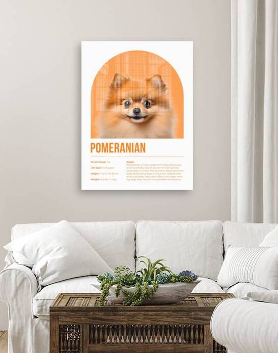 Pomeranian Informative Poster by Windawn