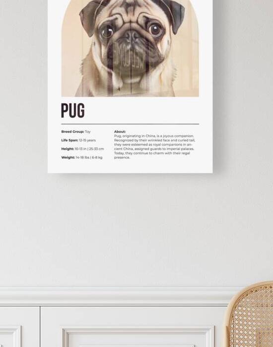 Pug Informative Poster by Windawn