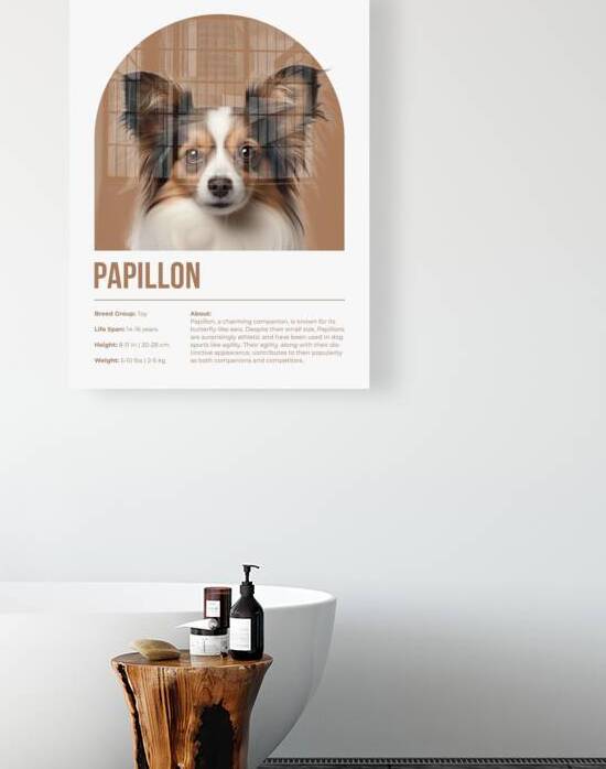 Papillon Informative Poster by Windawn