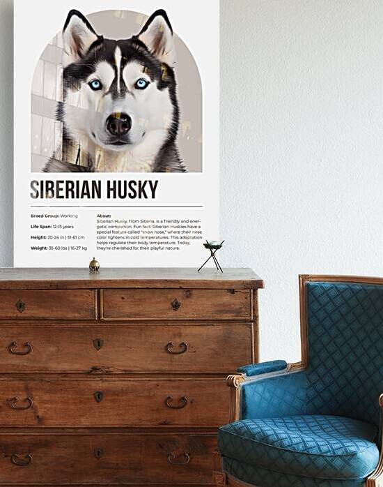 Siberian Husky Informative Poster by Windawn
