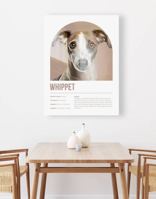 Whippet Informative Poster by Windawn